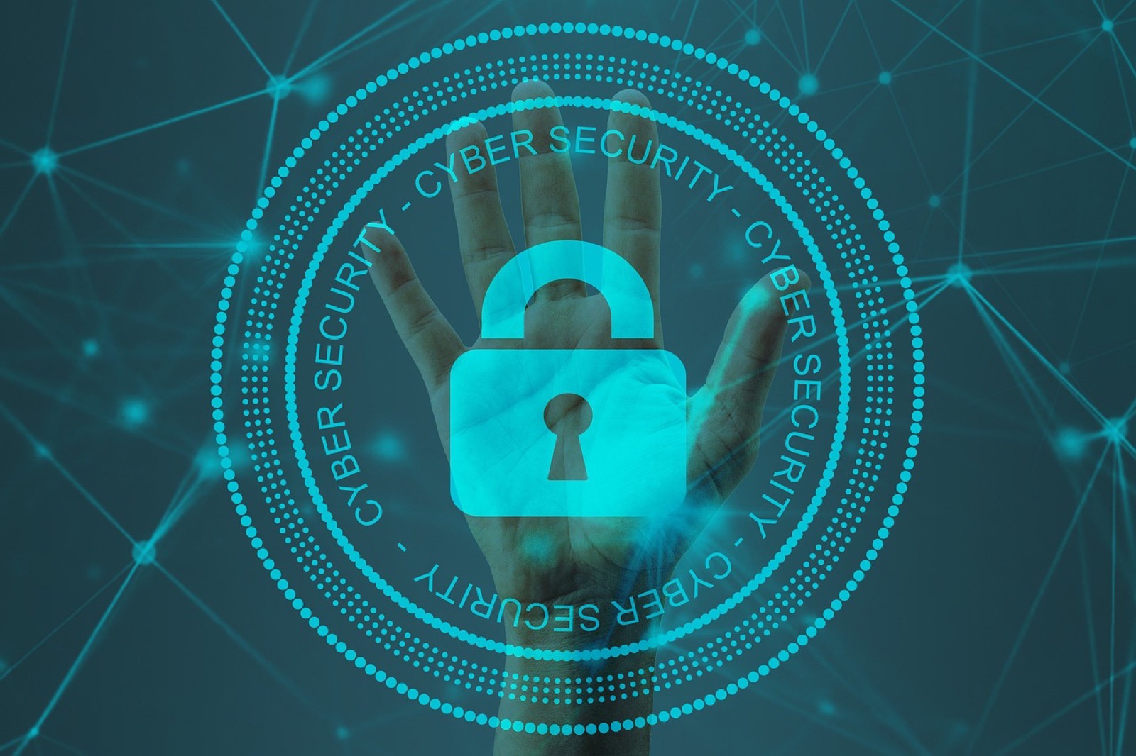 Cyber Security der Bermuda Agency